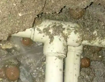 阳明测漏水多少钱