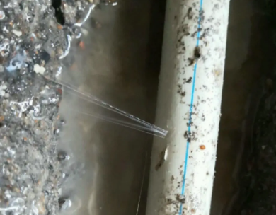 阳明测漏水哪家好