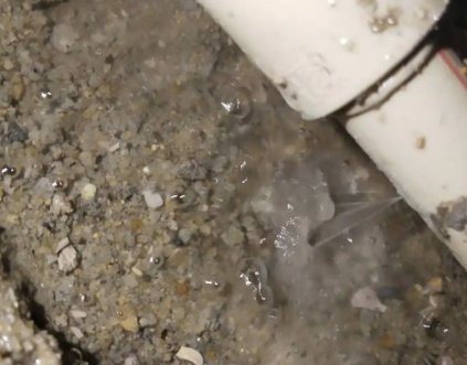 阳明测漏水电话号码