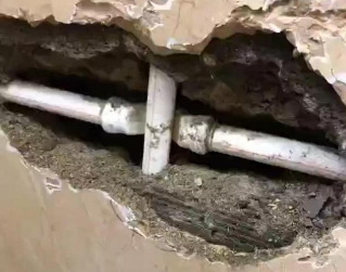 阳明测漏水哪家好