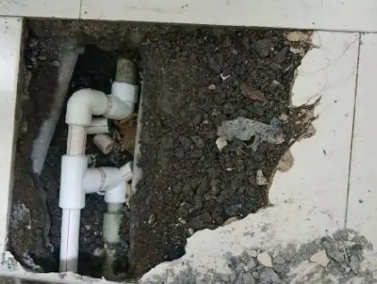 阳明测漏水哪家好