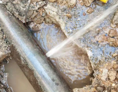 阳明测漏水公司