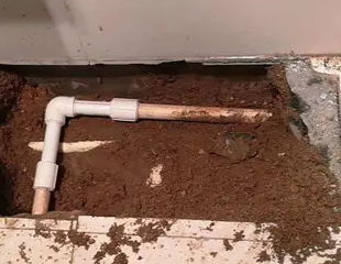 阳明测漏水哪家好