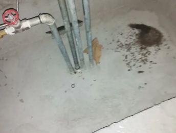 阳明卫生间测漏水价格明细