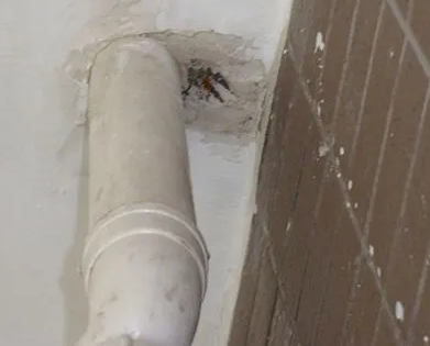 阳明漏水检测哪家好