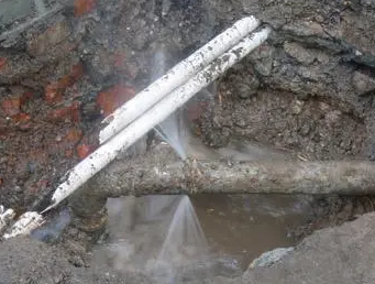 阳明测漏水多少钱